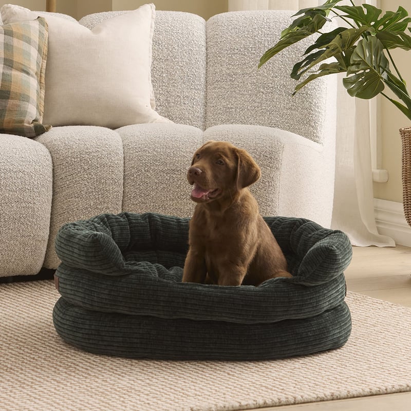 Ziggy Rosedale Deep Forest Pet Bed