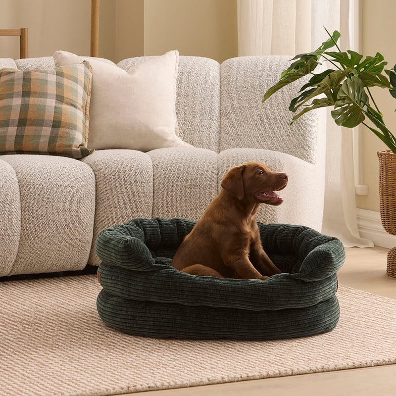 Ziggy Rosedale Deep Forest Pet Bed