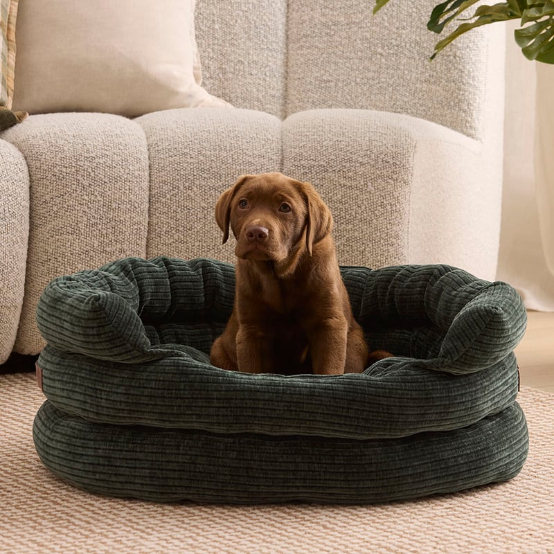 Ziggy Rosedale Deep Forest Pet Bed