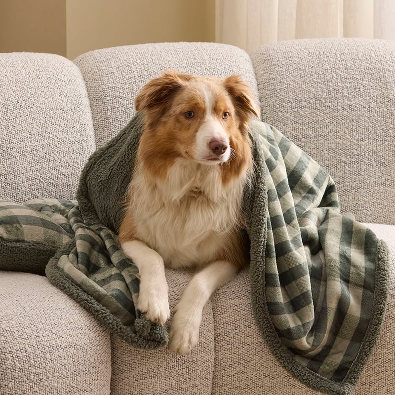 Maisy Green Tile Pet Blanket