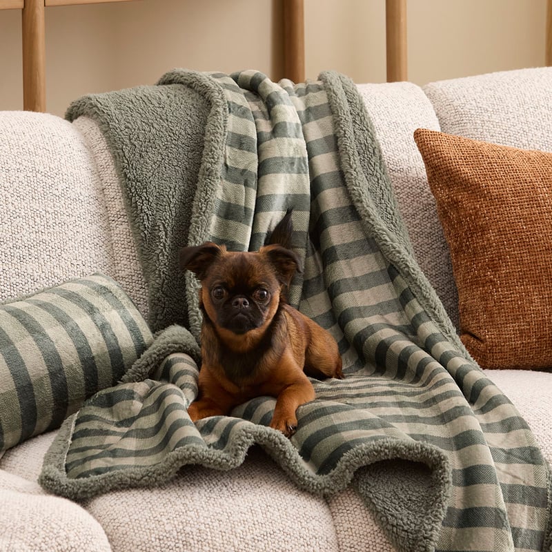 Maisy Green Tile Pet Blanket