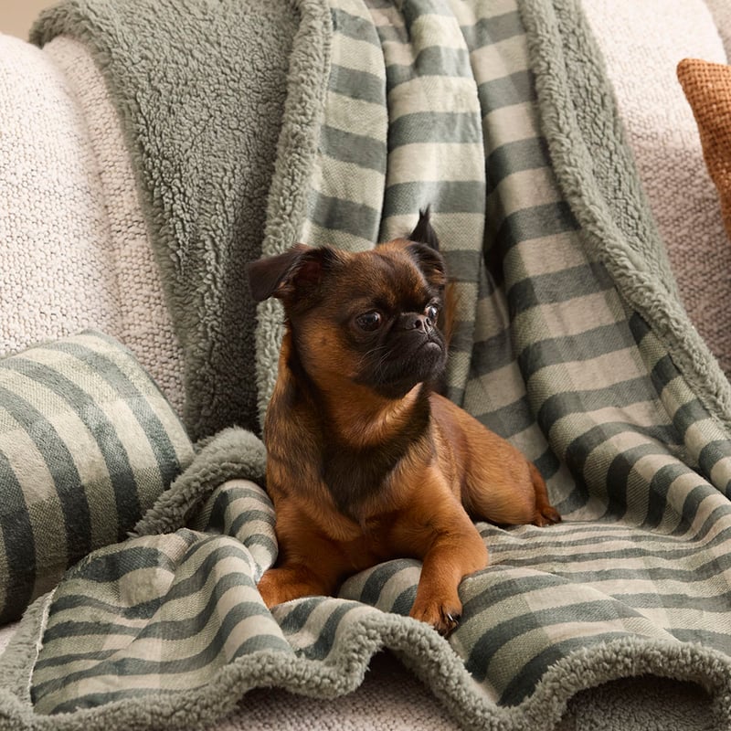 Maisy Green Tile Pet Blanket