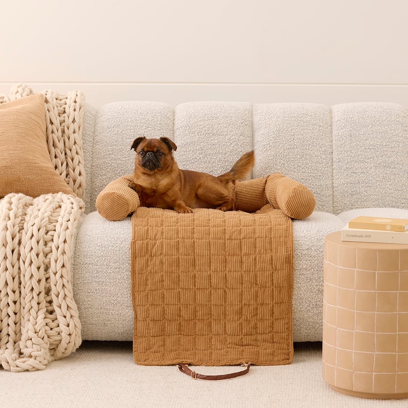 Maisy Tan Corduroy Fold-Out Pet Bed