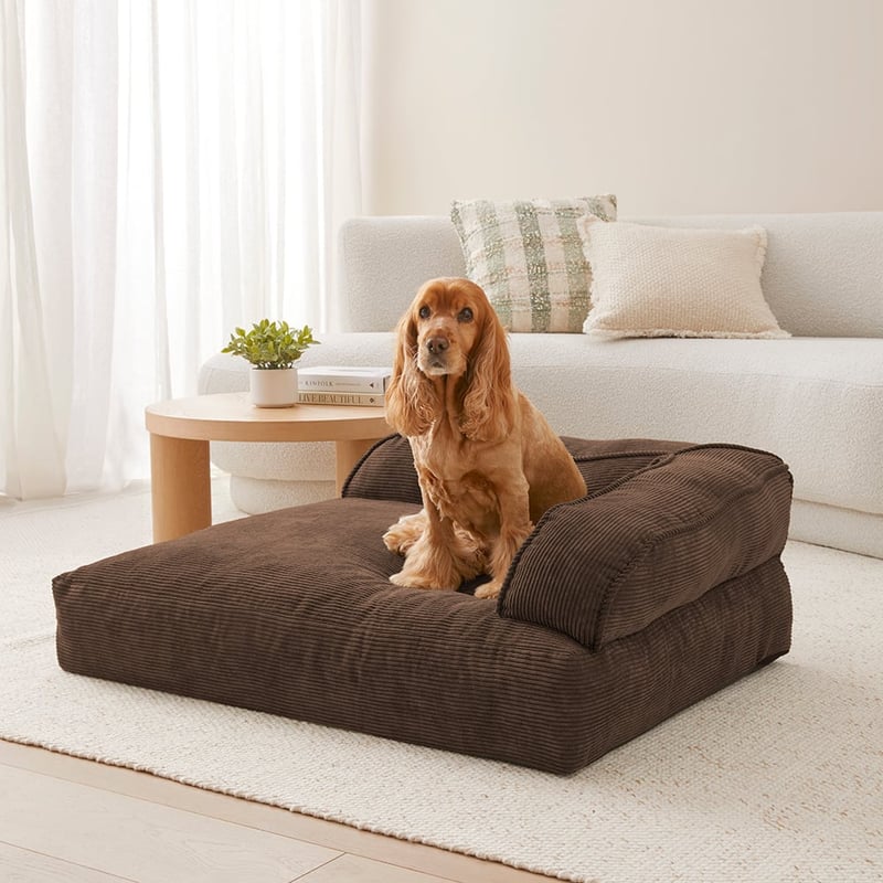 Cooper Chocolate Couch Pet Bed