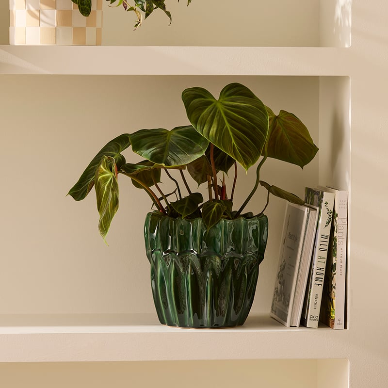 Lima Green Small Pot
