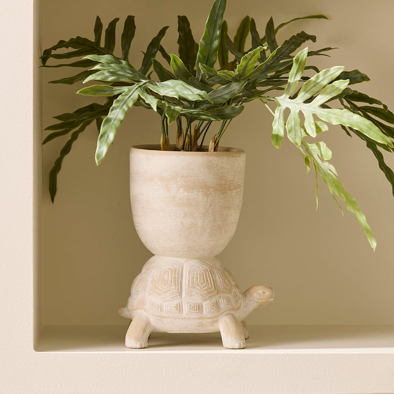 Tortoise Off White Large Pot