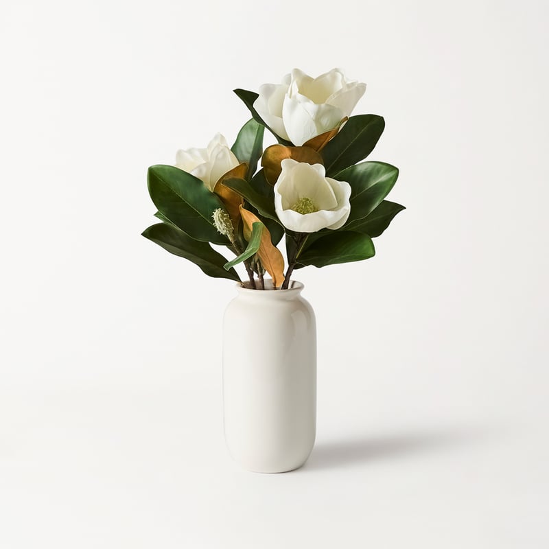 Magnolia Flower in Ceramic Vase