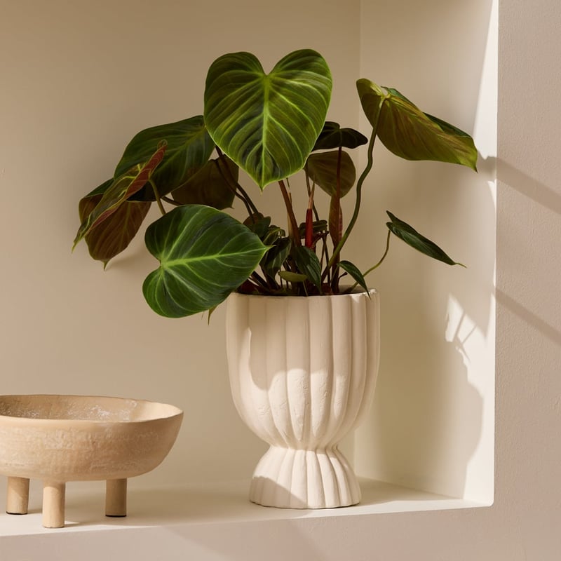Orb White Pedestal Pot