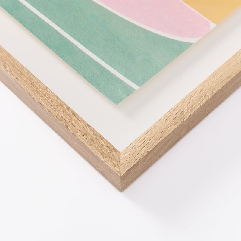 Flinders Basketball Framed Wall Art