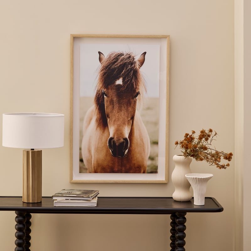 Flinders Framed Horse Wall Art