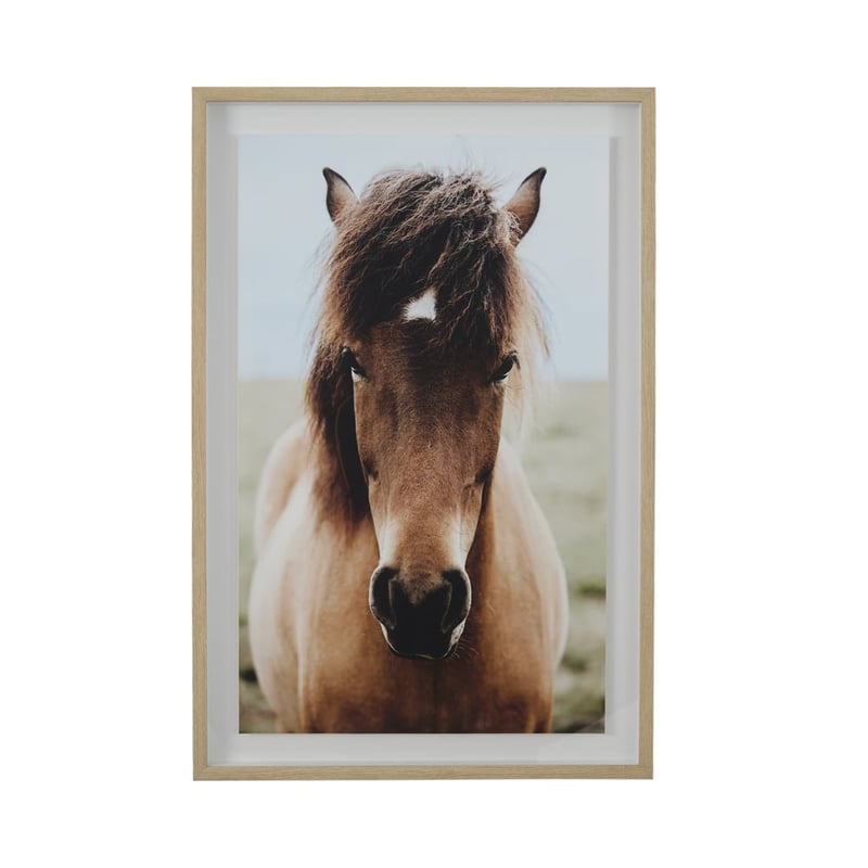 Flinders Framed Horse Wall Art