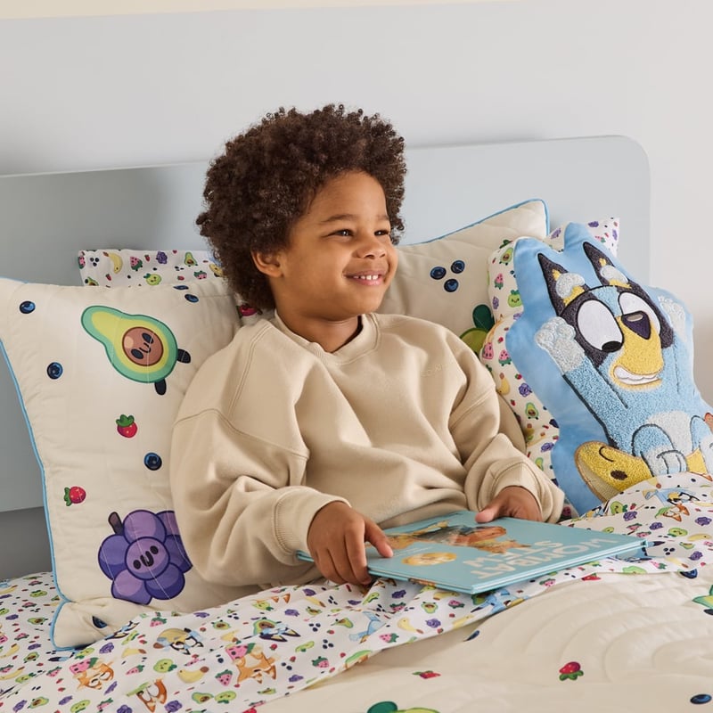 Bluey Fruity Fun Sheet Set