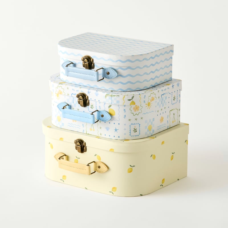 Lemons Decorator Suitcases Set of 3