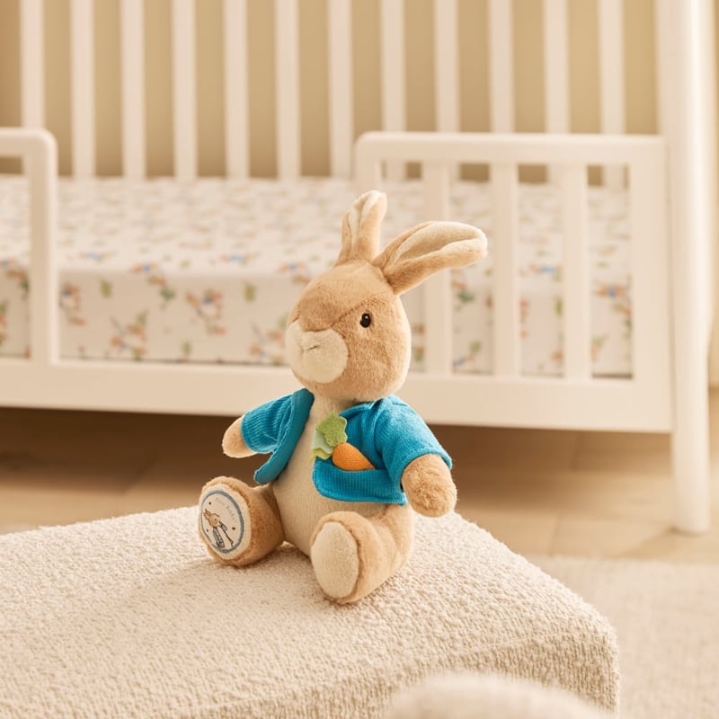 Peter Rabbit Soft Toy