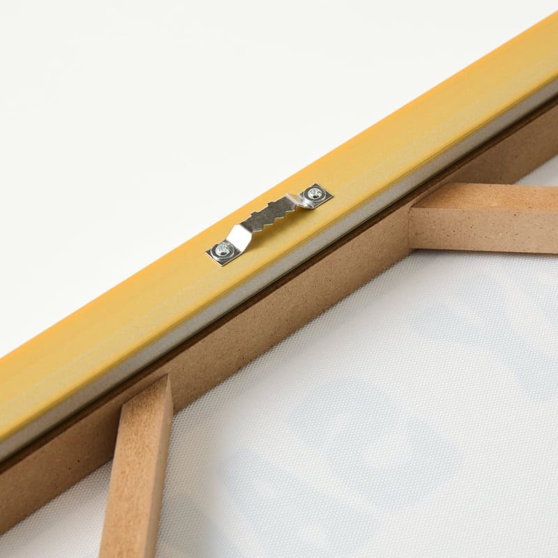 Stay Salty Shark Wall Art