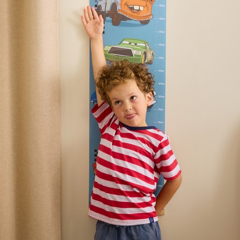 Disney Pixar Cars Lightning McQueen & Friends Height Chart