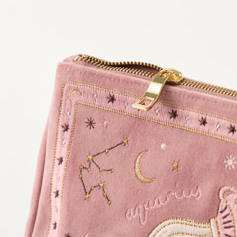 Zodiac Aquarius Glam Bag
