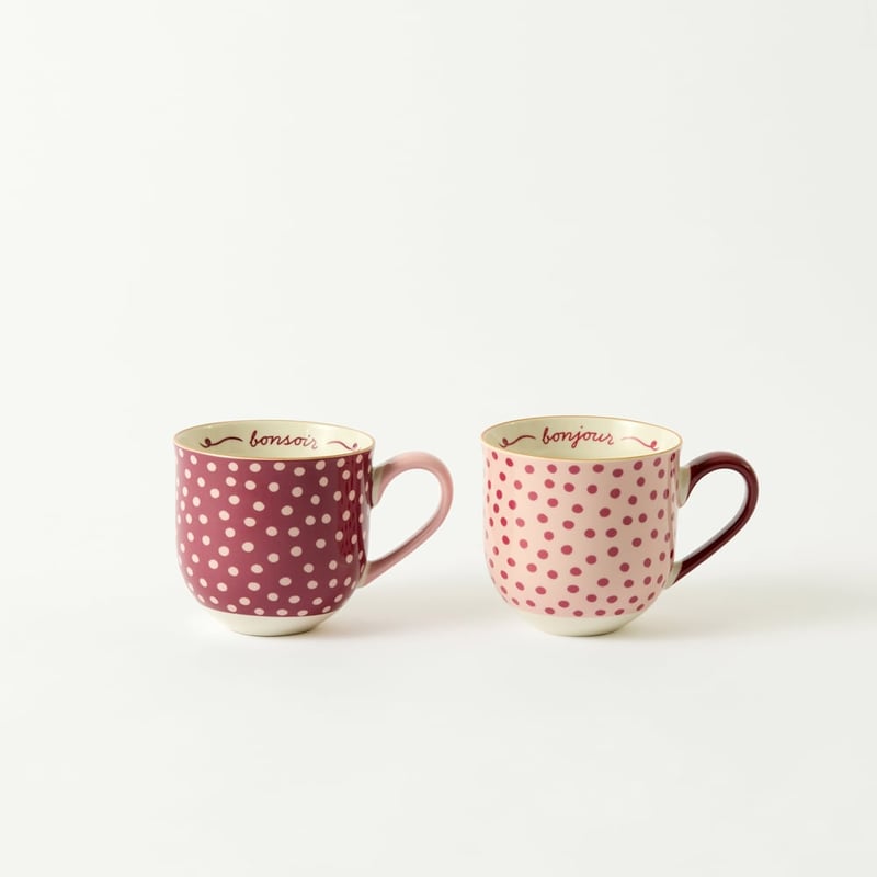 Rose & Burgundy Spot Mug Set of 2