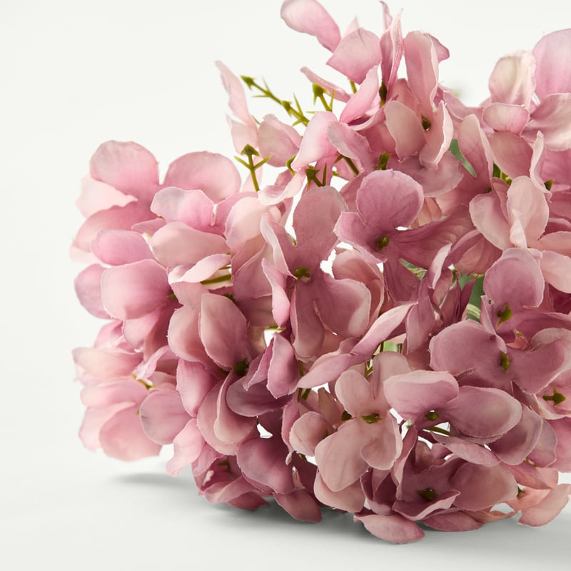 Hydrangea Pink & Purple Single Stem