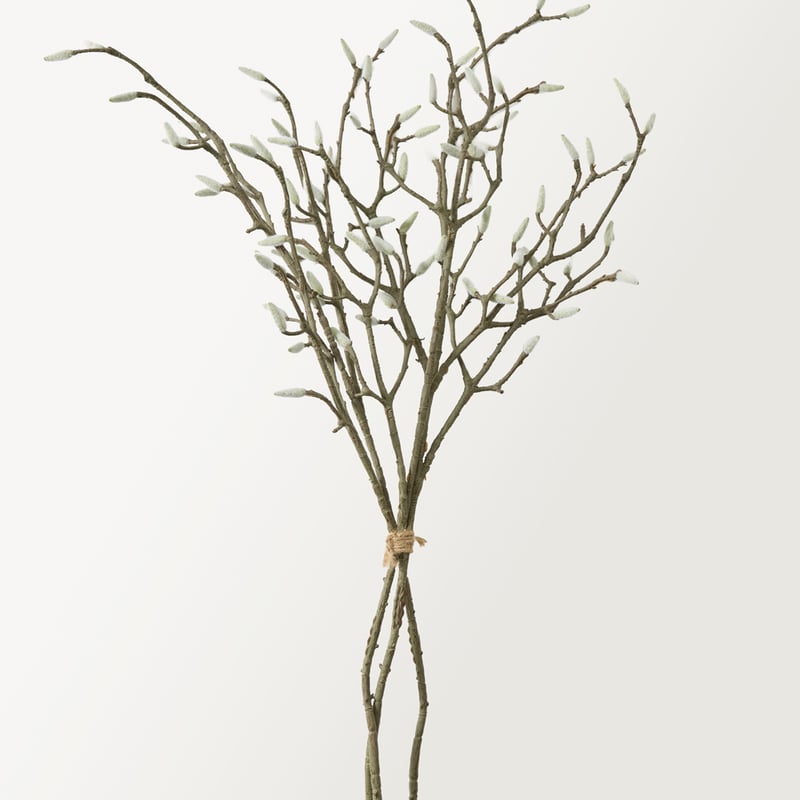 Willow Natural Stem Bunch