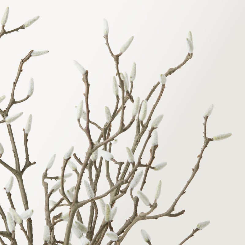 Willow Natural Stem Bunch