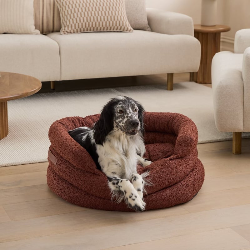 Ziggy Cinnamon Boucle Pet Bed 