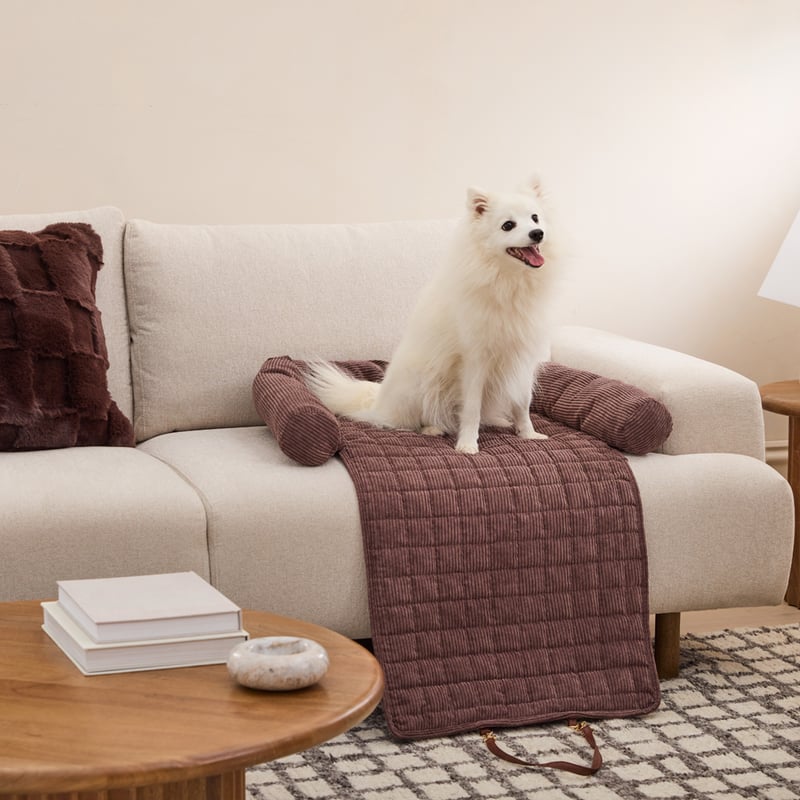 Maisy Chocolate Fold Out Pet Bed