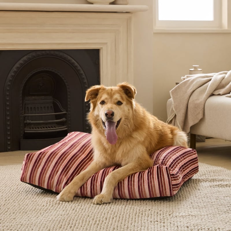 Etro Stripe Cedar Velvet Pet Bed