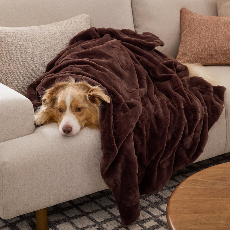 Paws Chocolate Recycled Fur Pet Blanket