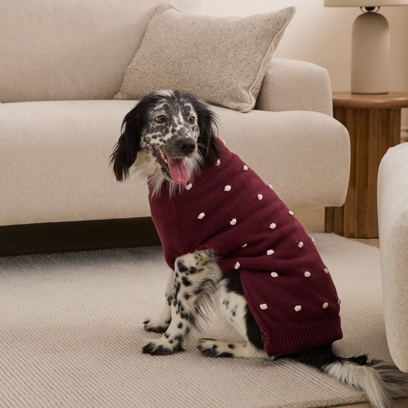Knitted Berry Polka Dot Pet Jumper