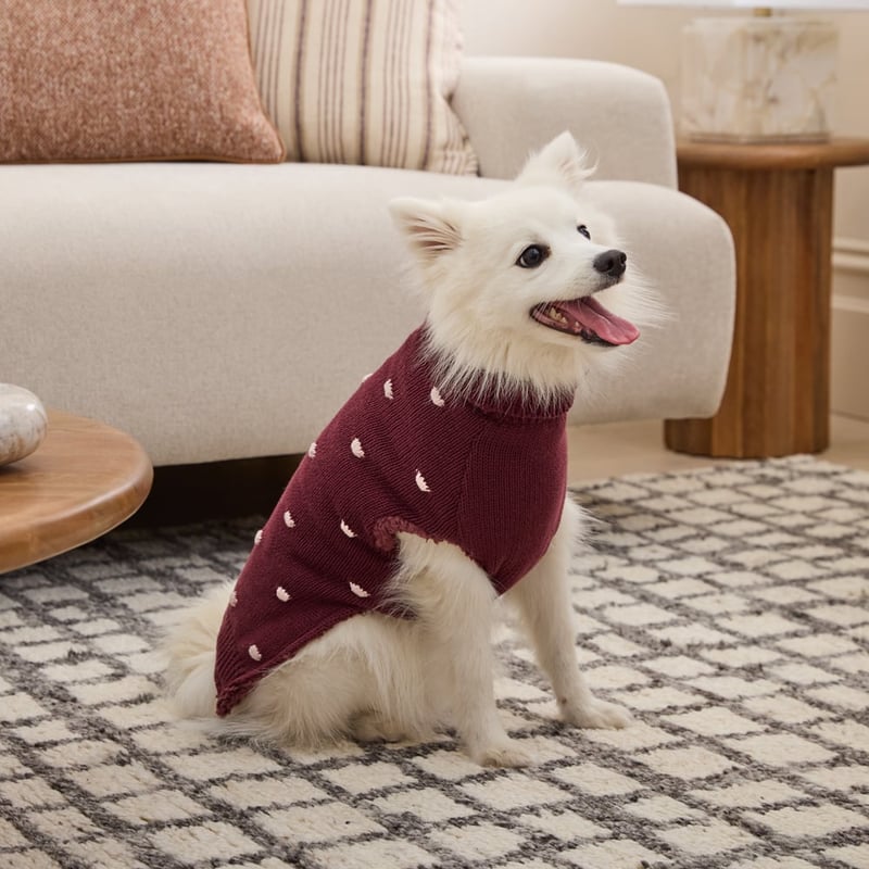 Knitted Berry Polka Dot Pet Jumper