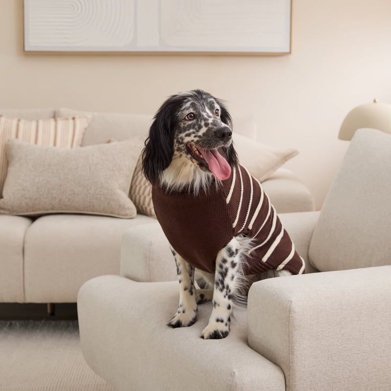 Knitted Chocolate Stripe Pet Jumper