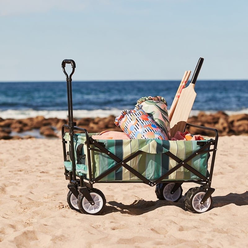 Aruba Stripe Teal Beach Trolley