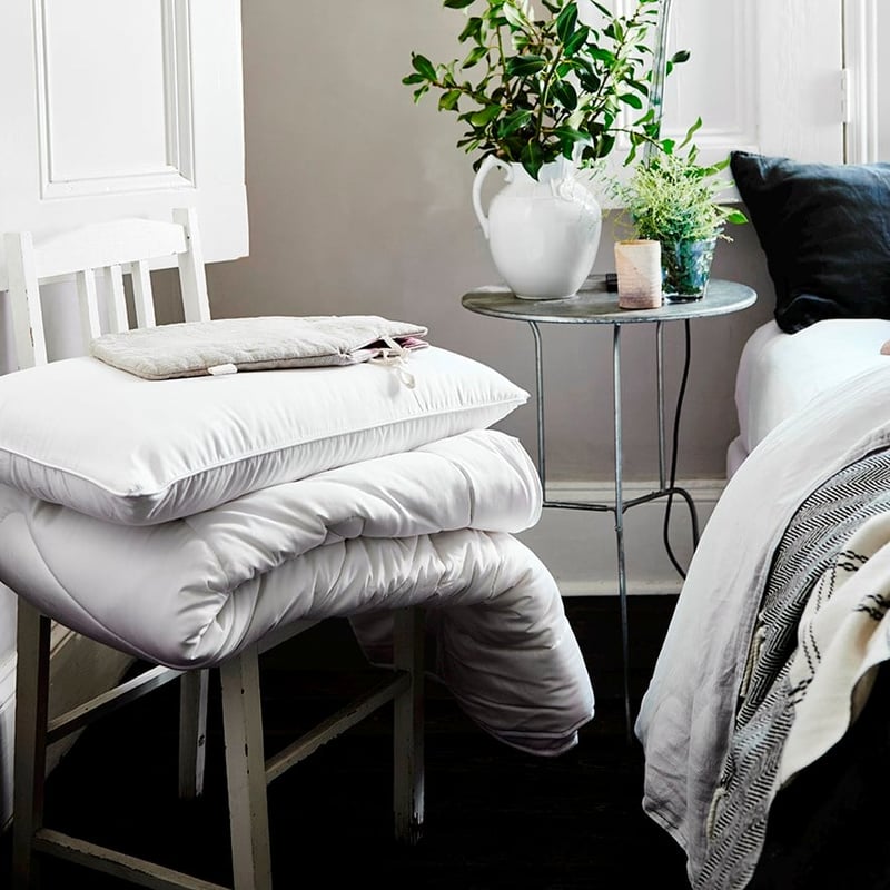 Balance Standard Pillow