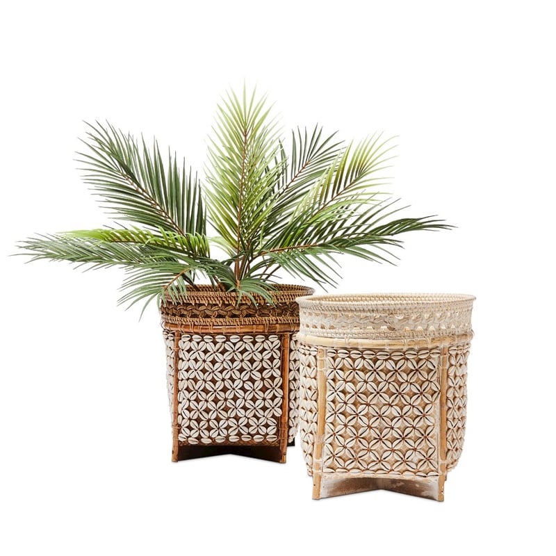 Cowrie Shell Basket Dia30xH30cm Natural 