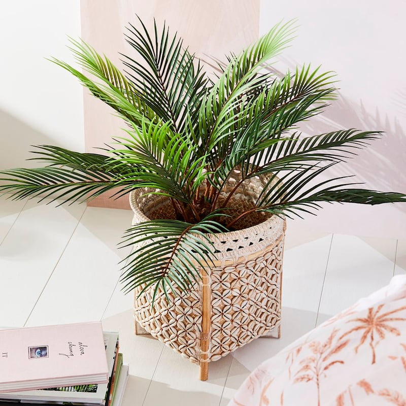 Cowrie Shell Basket Dia30xH30cm White Washed 