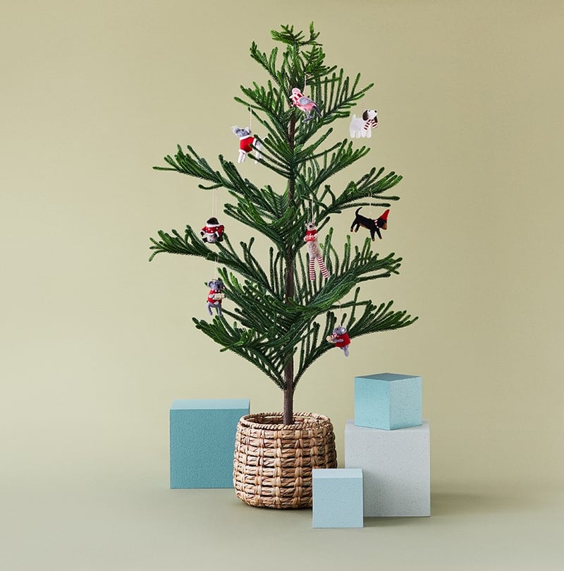 Felted Friends Native Brown Koala Decoration