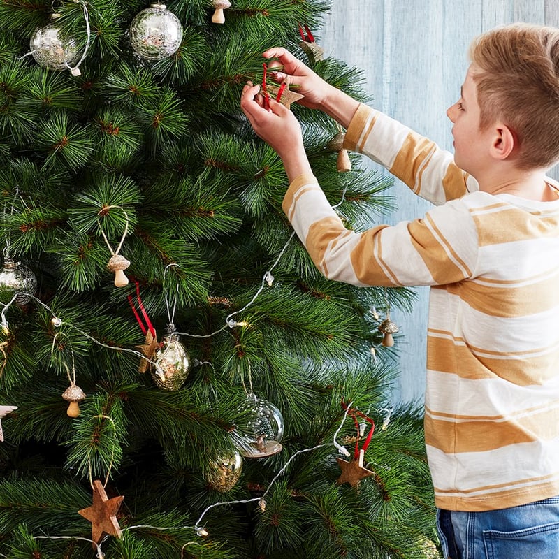 Hanging Timber Ornament Dia11cm Star Natural 