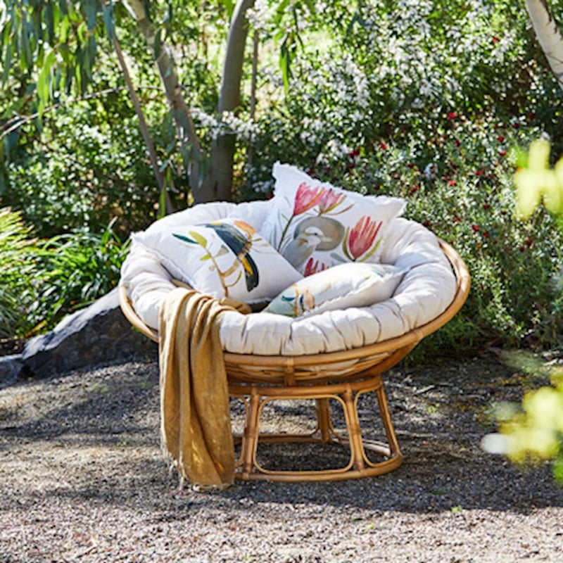 Dana Kinter Kookaburra Protea Cushion 