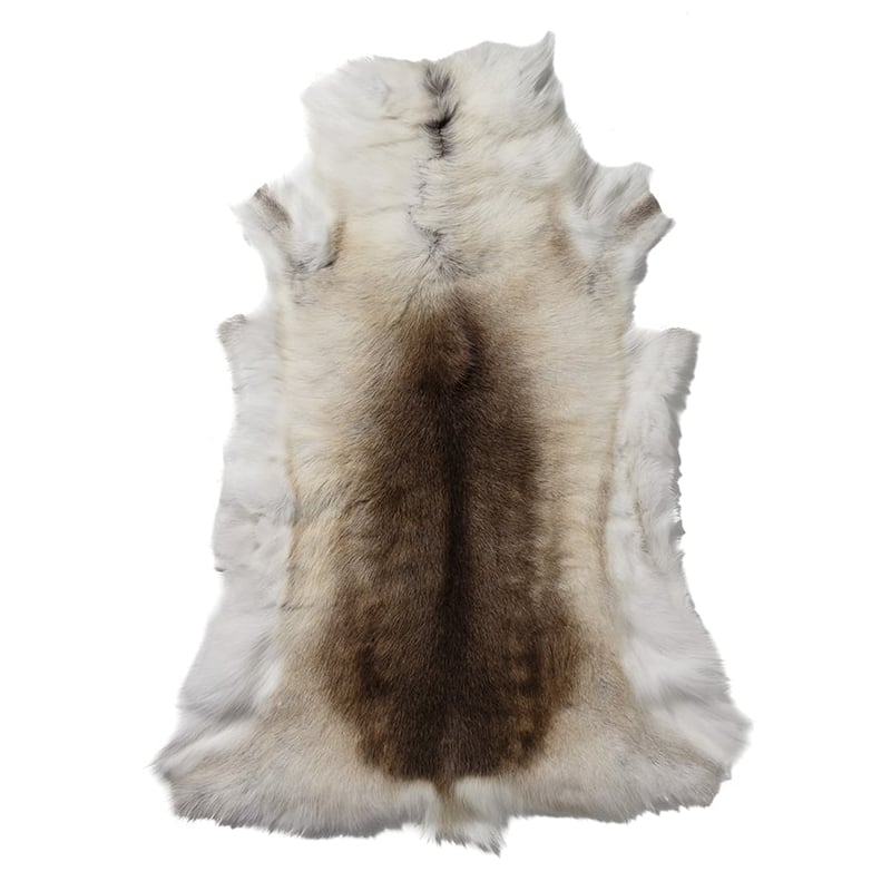Reindeer Skin Rug