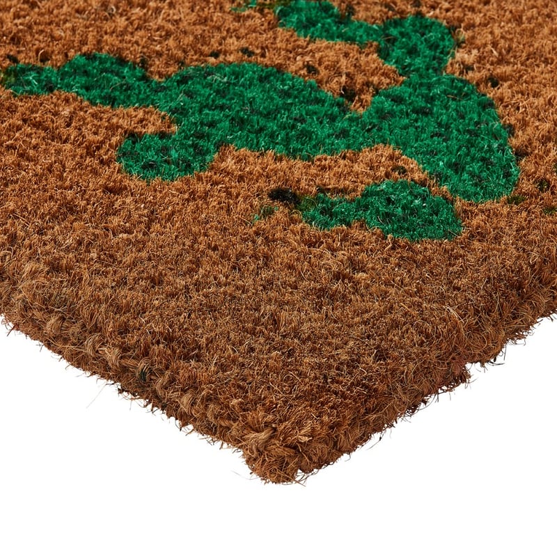 Coir Cactus Pals Doormat 