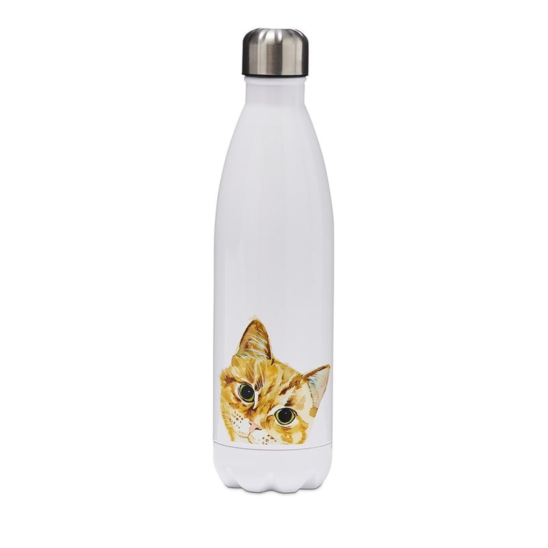 Cat Collection Tabby Large Drink Bottle