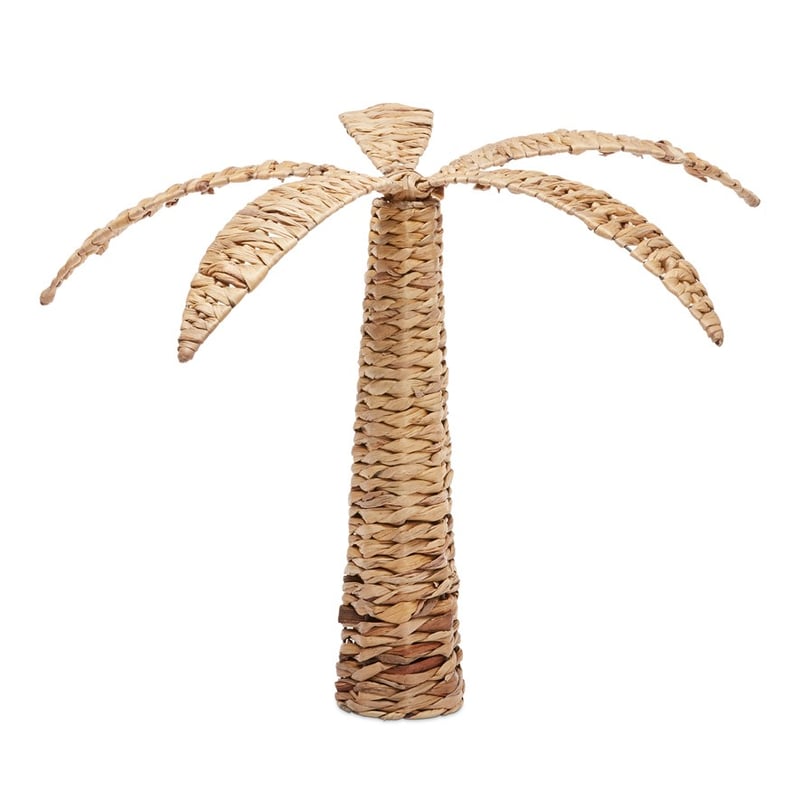 Waikiki Natural Palm Tree 