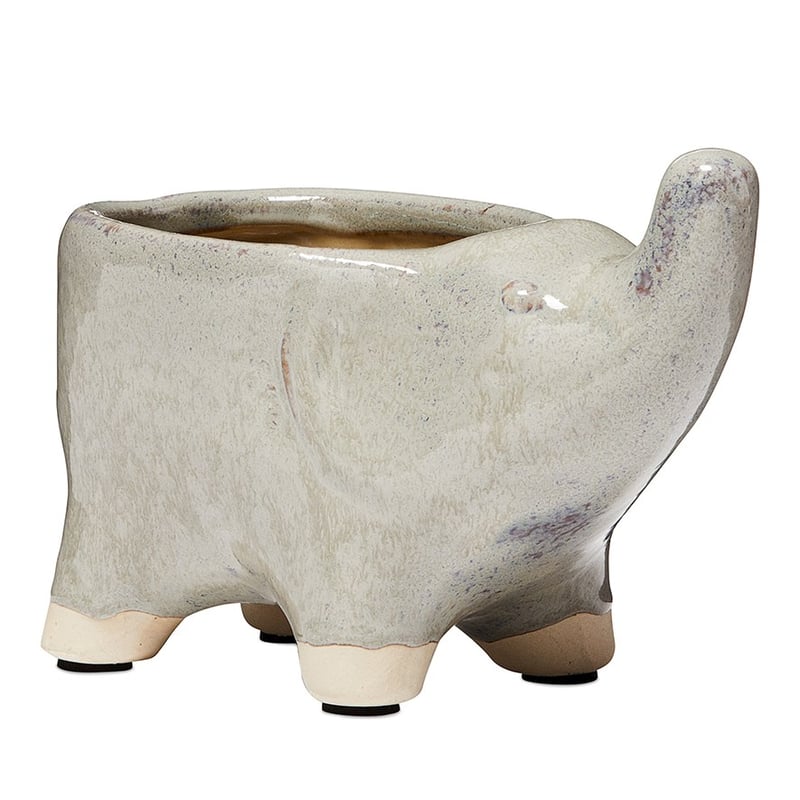 Wild Animals Grey Elephant