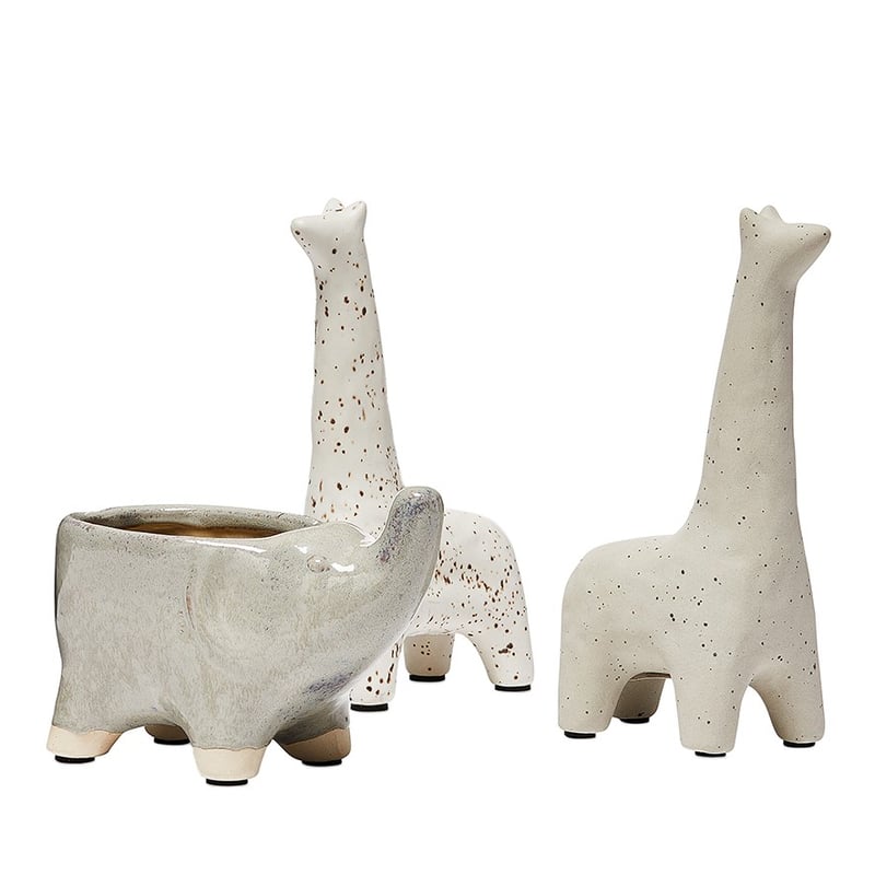 Wild Animals Grey Giraffe 