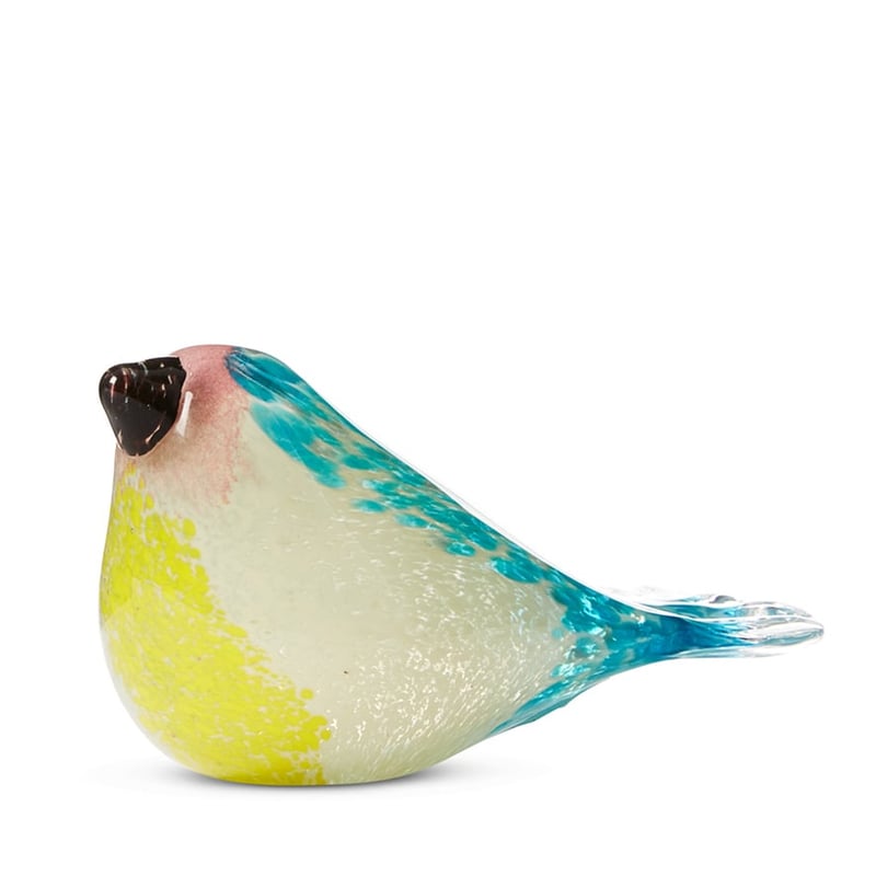 Animal Life Bird Multi 