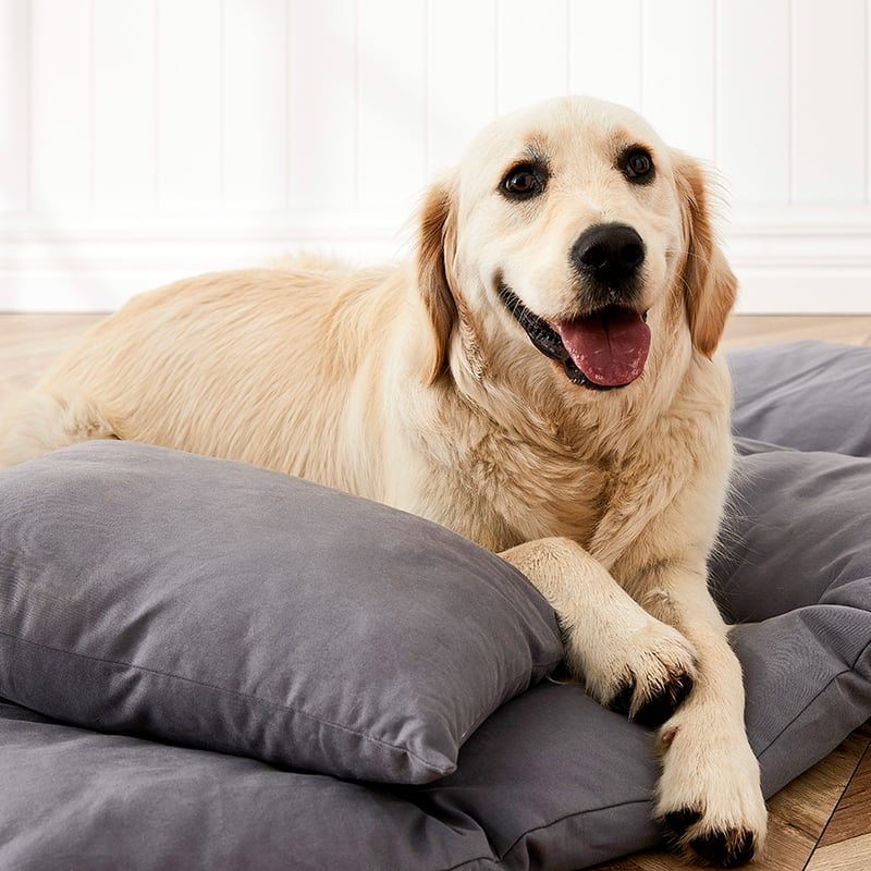 Comfort Collection Snuggle Mat Inner Grey