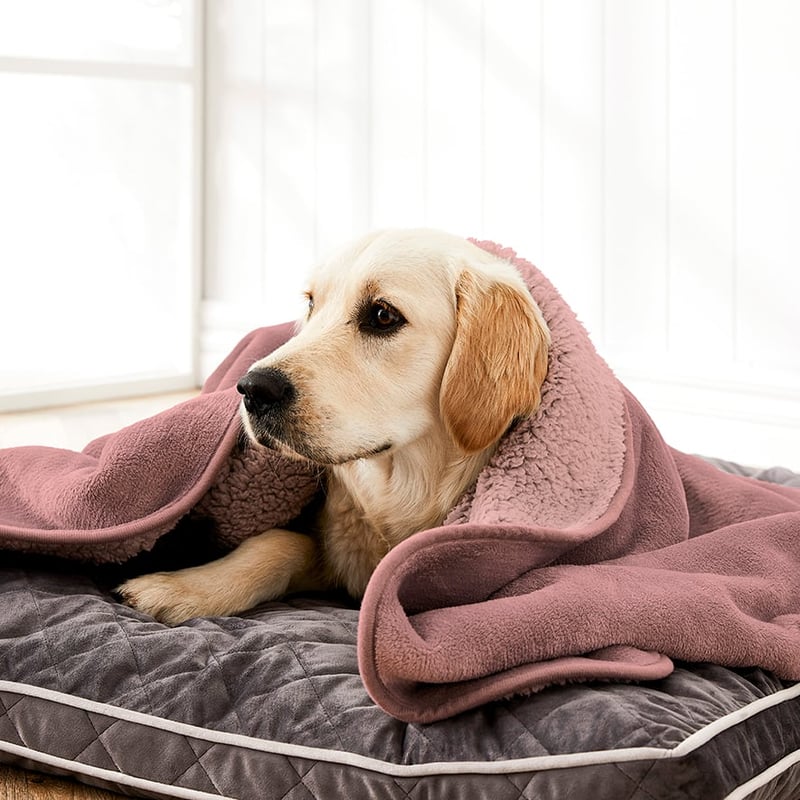 Creature Comforts Ultra Soft Sherpa Snuggle Throw Pink