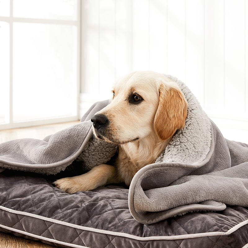 Creature Comforts Ultra Soft Sherpa Snuggle Throw Silver