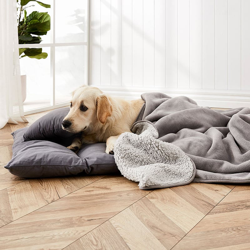 Creature Comforts Ultra Soft Sherpa Snuggle Throw Silver